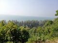 Beautiful trees side the sea in CoxÃ¢â¬â¢s Bazar in Bangladesh